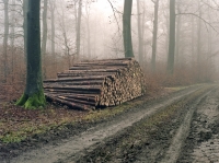 http://www.thomasmies.de/files/dimgs/thumb_0x200_2_17_29.jpg